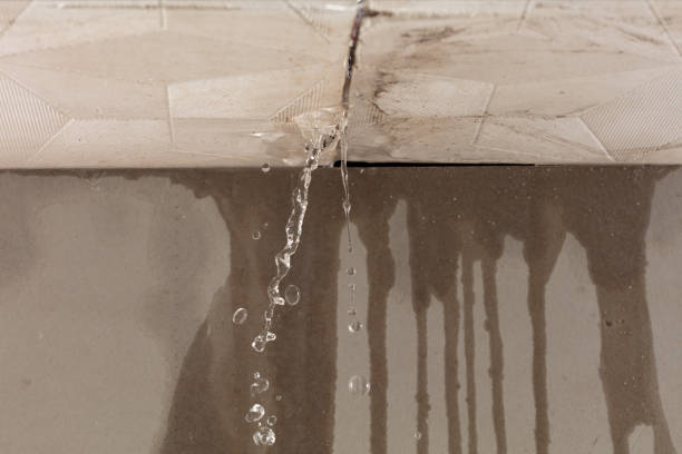 Professional Water Damage Inspection technician working in Lindsay, TX